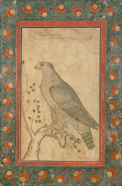 Valk op een bladerrijke stronk, ca. 1650 door Mughal School